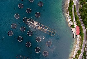 Caribbean aquaculture projects offer new citizenship by investment opportunities