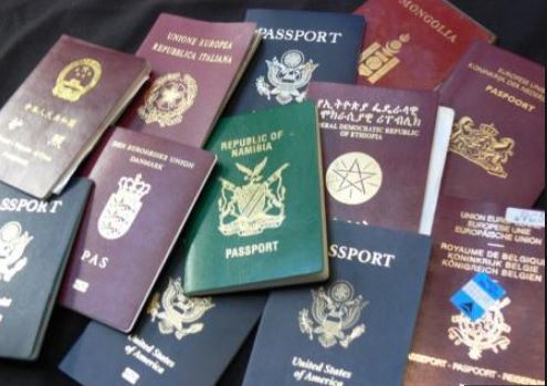 Saudi: 83% of second citizenship applicants are expat families ...